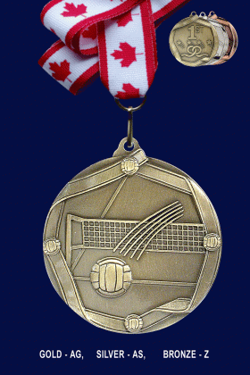 Volleyball, Medal – 2.25”