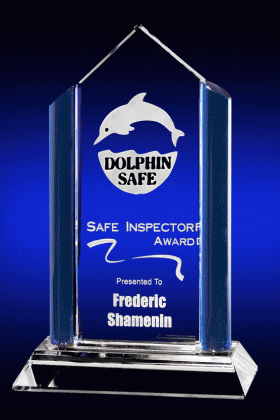 Concord, Blue & Clear Crystal Award – 8”