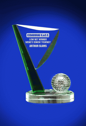 Golf Tournament Trophy – 8.25"