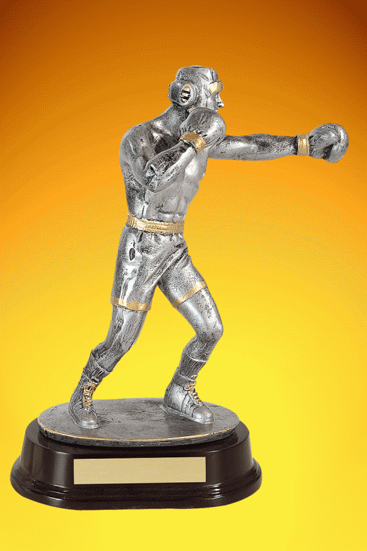 Boxing Trophy, Male – 8” - Click Image to Close