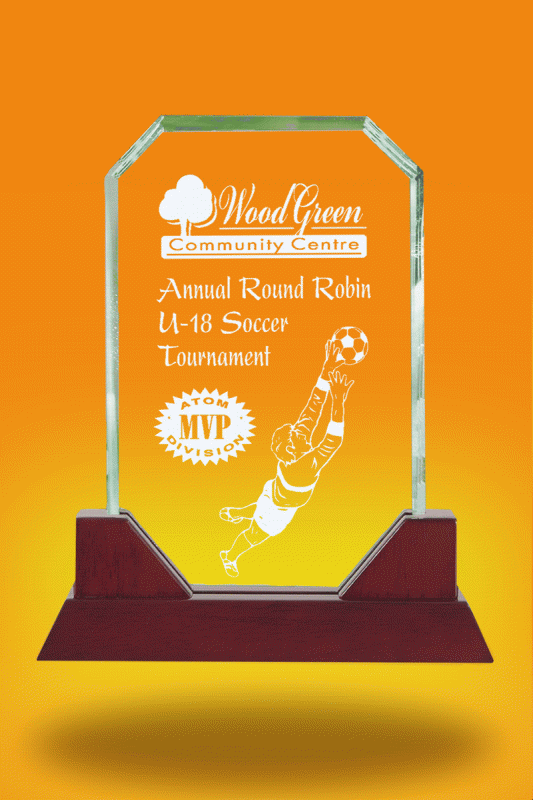 Hudson Award – 8” x 9.75” - Click Image to Close