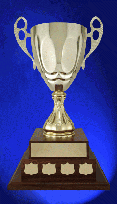 Strattura Annual Cup, gold or silver - 19.25" - Click Image to Close