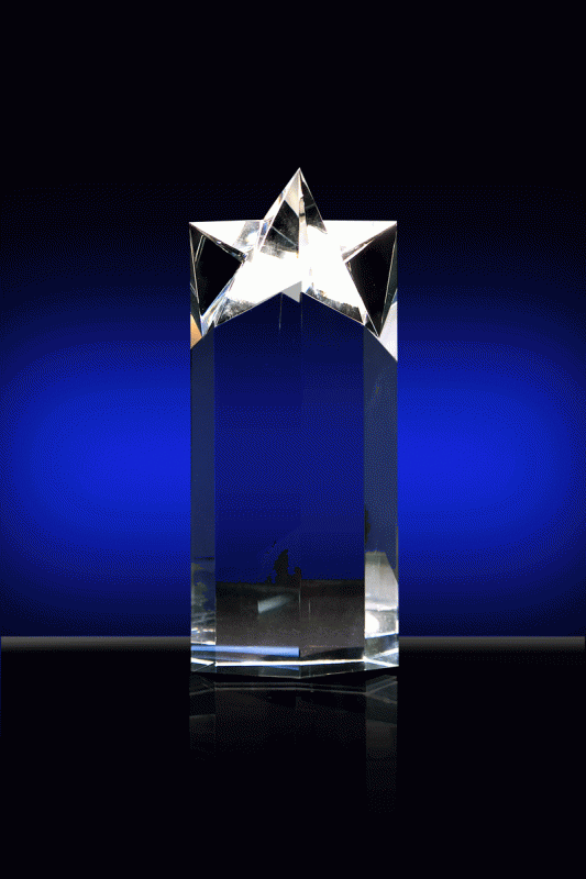 Star Solid Award – 10” - Click Image to Close